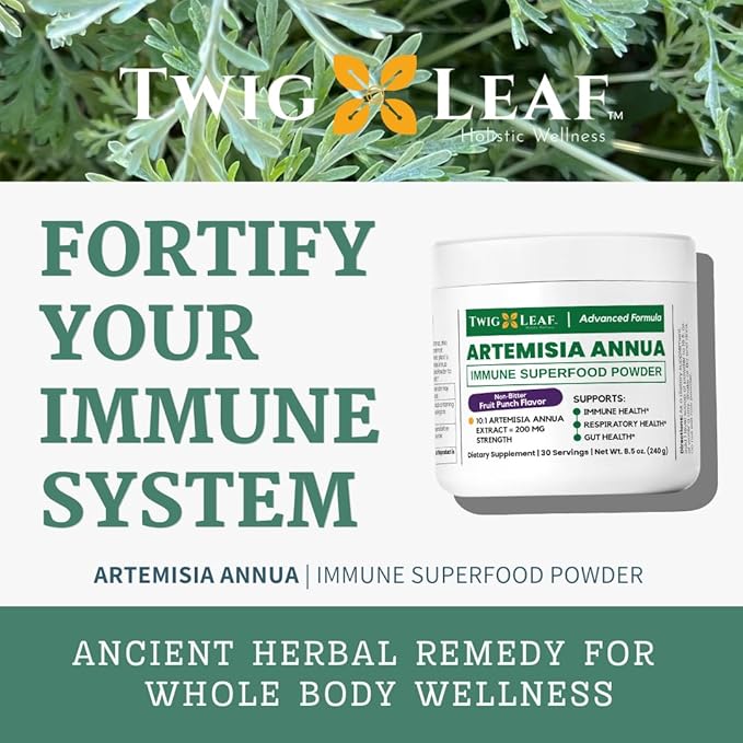 Artemisia Annua Sweet Wormwood Herbal Powder | Leaf Extract Brain Supports | Artemisinin Supplement | Sweet Wormwood Organic Extract | Non-GMO Vegan Gluten-Free | 30 Servings/8.5 Oz (240g)