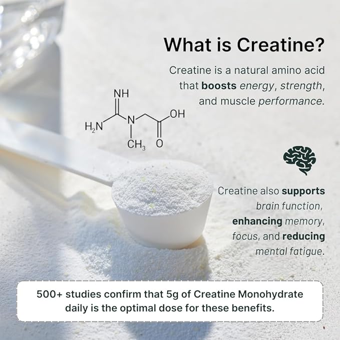 Nutrition On The Go Vegan Protein Powder Packets with Creatine – 20g Plant Proteins + 5g Creatine – Single-Serve Travel Protein Powder – All-Natural Gluten-Free – Chocolate – (60-Pack)