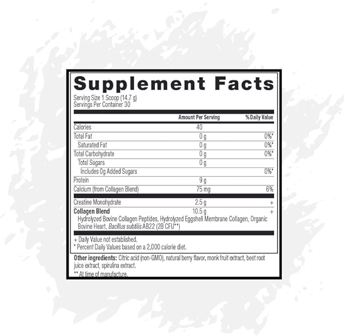 Chocolate Protein + Berry Flavor Creatine Collagen Powder A2/A2 Whey Casein Protein with Probiotics and Celtic Sea Salt (20 Servings) Creatine and Collagen Supplement Gluten Free (30 Servings)