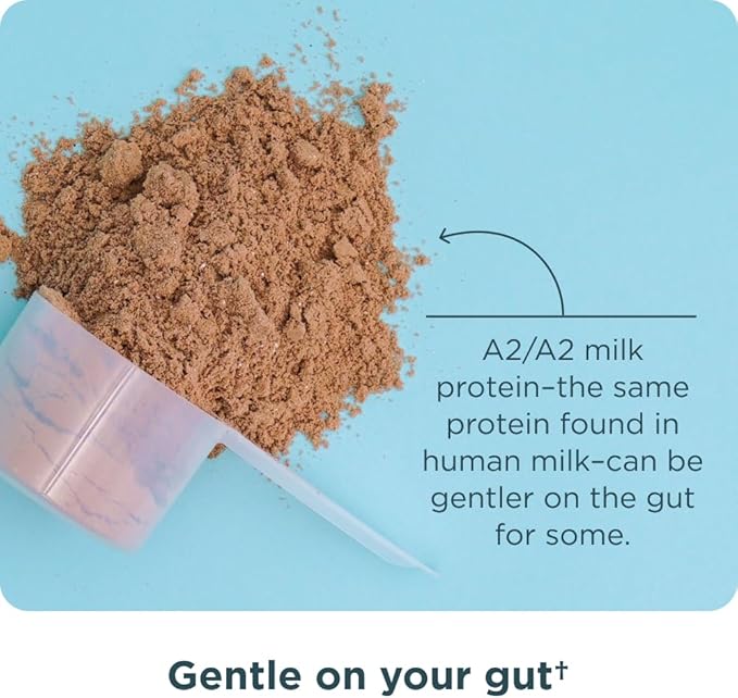 Ancient Nutrition Grass-Fed Whey Protein Powder Milk Chocolate 20 Servings + Grass-Fed Whey Protein Powder Vanilla Bean 20 Servings
