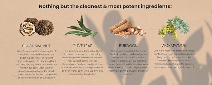 All In Nutritionals Agapé Herbals Gut Warrior