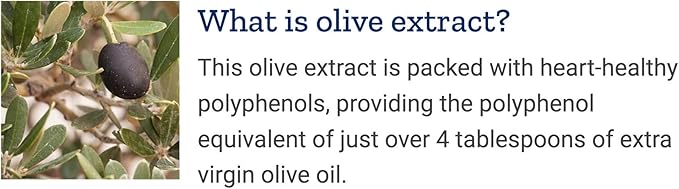 Life Extension Super Omega-3 360 Softgels Easy to Swallow EPA/DHA Omega3 Fish Oil Sesame Lignans &amp Olive Extract