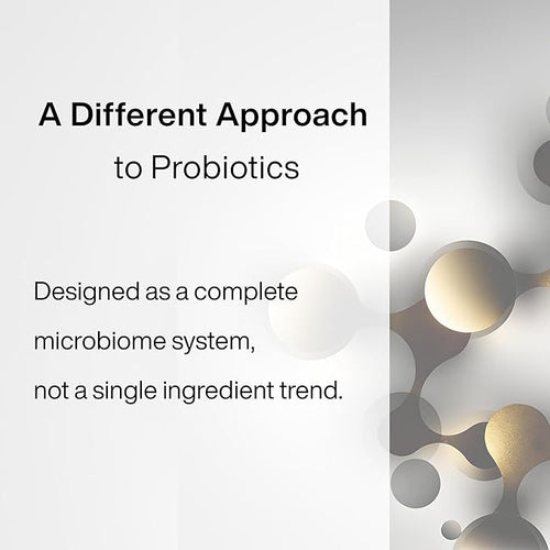 Akkermansia Probiotic Supplement – Multi-Strain Formula with Prebiotics VPro® 5-Layer Delayed Release Capsules Advanced Gut Barrier &amp Microbiome Support