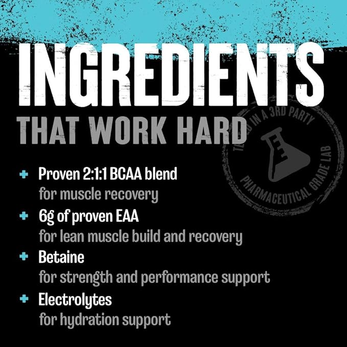Animal Juiced Amino Acids - BCAA Powder EAA Matrix Plus Hydration with Electrolytes and Sea Salt Anytime Recovery and Improved Performance Fruit Punch Flavor 30 Servings