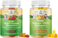Bundle of Plant Based Kids Multivitamin Gummies with Vitamins A C D3 E B Zinc and DHA Omega 3 Gummies with Vegetarian 6 9 for Vision Brain Immunity Support Non-GMO Gluten Free Gelatin Free Supplement