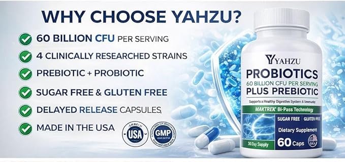 60 Billion CFU Probiotics with Prebiotic Fiber – Synbiotic Digestive &amp Immune Support for Men &amp Women 4 Clinically Researched Strains 60 Vegan Capsules
