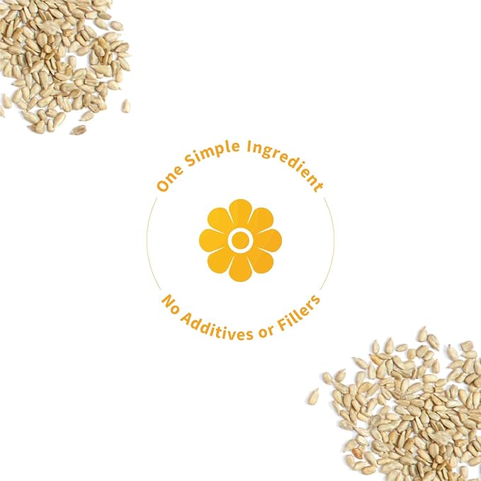 Sprout Living Simple Sunflower Seed Protein Powder 15 Grams Organic Plant Based Protein Powder Without Artificial Sweeteners Non Dairy Non-GMO Vegan Gluten Free Keto Drink Mix (1 Pound)