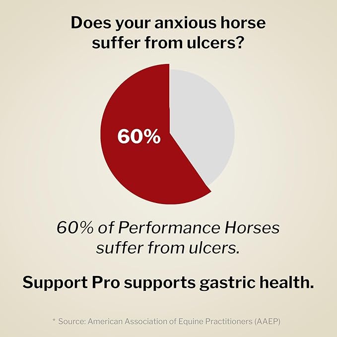 Formula 707 Support Pro Daily Packs for Horses - 28 Day Supply - Calming Ulcer Support Hindgut Health Focus &amp Stress Relief