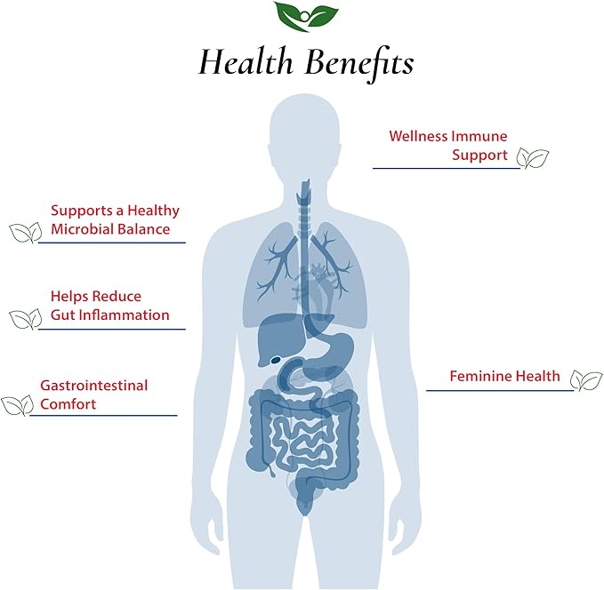 Foods For Gut Bifidobacterium Breve Probiotic Powder 300 Billion cfu's | Made in USA | No Additives | Digestive &amp Immune Support | High Potency | B. Breve | 60 Grams (2.11 Oz)
