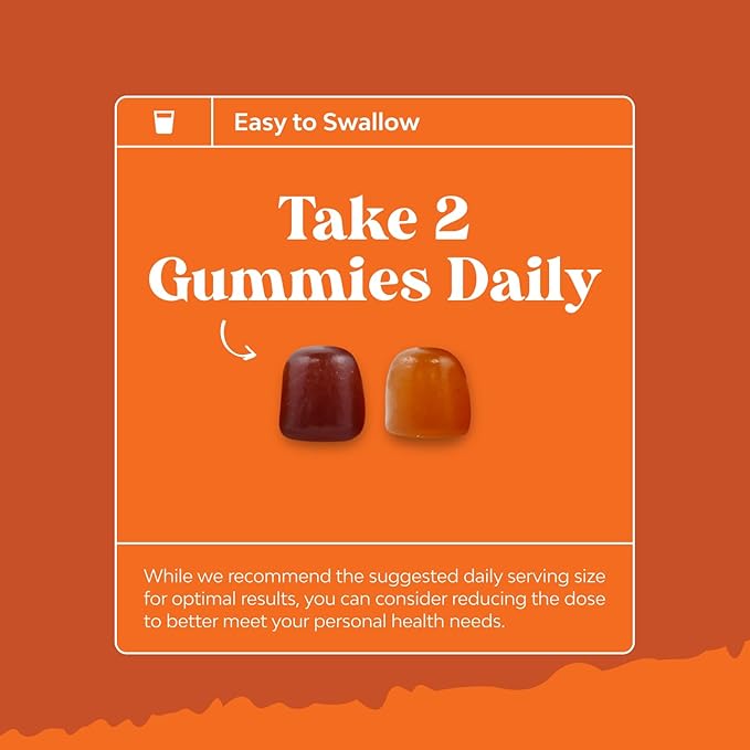 Bundle of Potent Daily Multivitamin Gummies for Adults and Natural Cranberry Gummies for Women and Men - Wellness Blend of Vitamin D A C E B12 Zinc and Biotin - Extra Strength Delicious Antioxidant