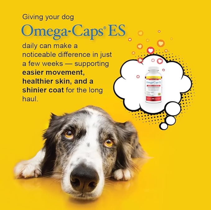 Omega-Caps Extra Strength for Large Breeds-Vet Formulated for Healthy Radiant Skin &amp Coat While Reducing Shedding. Contains Omega 3 for Immune System Support Easy to Dose 1000 Soft Gel Capsules