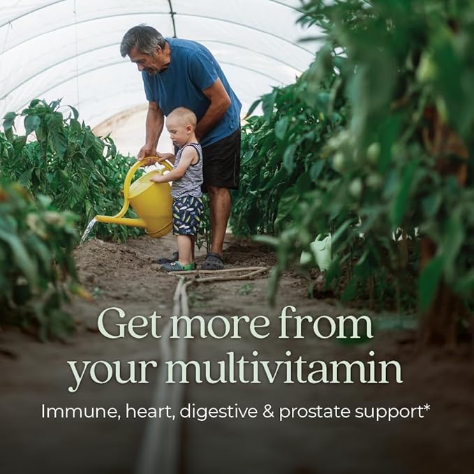 New Chapter Men’s Multivitamin 55+ Extra B6 &amp B12 D3 Astaxanthin Vitamin C &amp Zinc Immune Heart Cellular Energy and Brain Health Gentle on The Stomach One Daily Non-GMO 48 Tablets