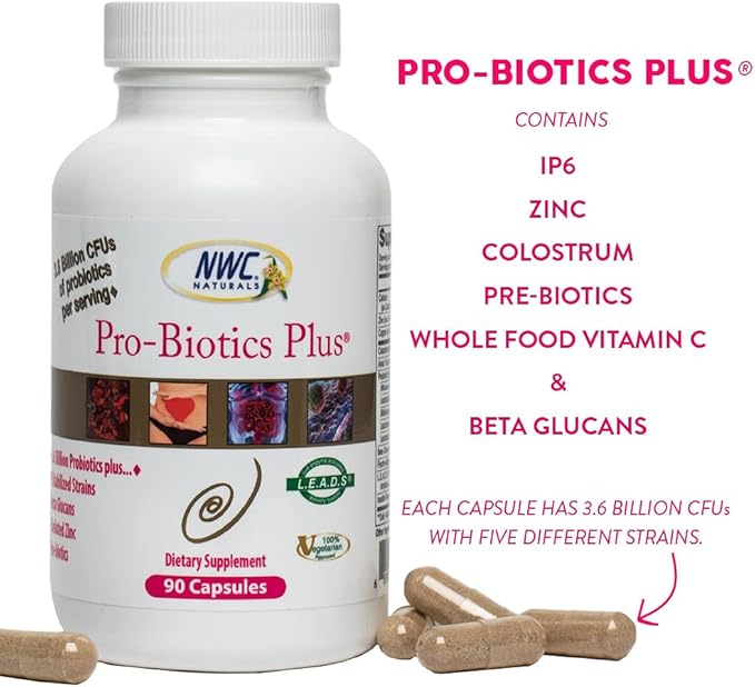 NWC Naturals Pro-Biotics Plus Natural Probiotics for Men Women and Kids Immune System Support Vegetarian Supplement Supports Good Digestive Health Probiotic and Prebiotic 90 Capsules