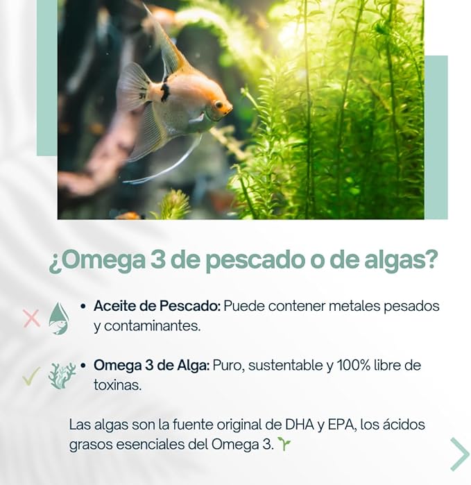 Algae Omega-3 120 Soft Gels - 560 mg Omega-3 Very HIGH in DHA - Certified Algae Oil - 100% Vegan - 100% Biodegradable Packaging