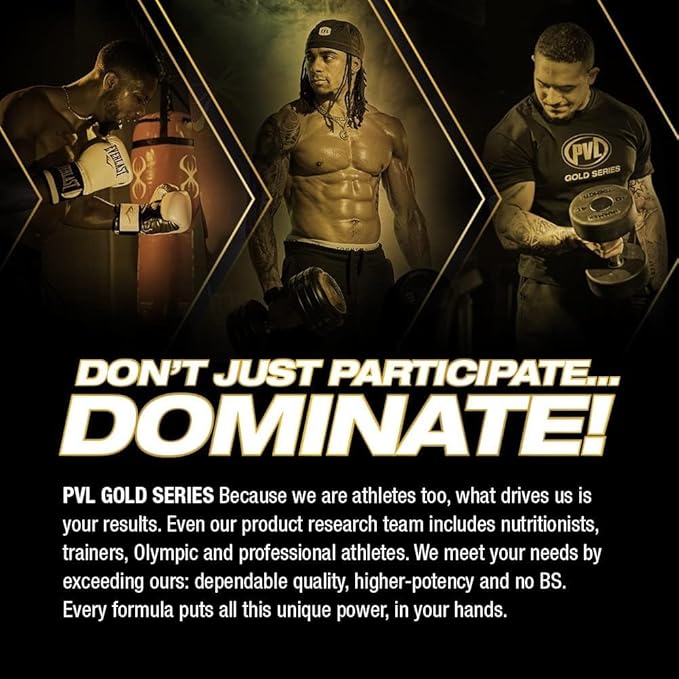 PVL Gold Series - 100% Whey ISOGOLD Sport - Premium Whey Protein Isolate Shake Mix - 2 LB - Triple Chocolate