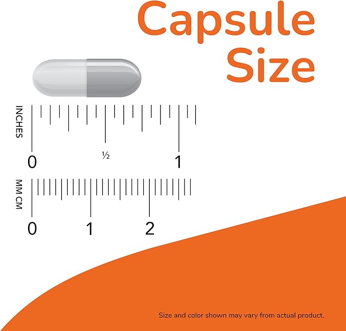 NOW Quercetin 500mg100 Veg Capsules