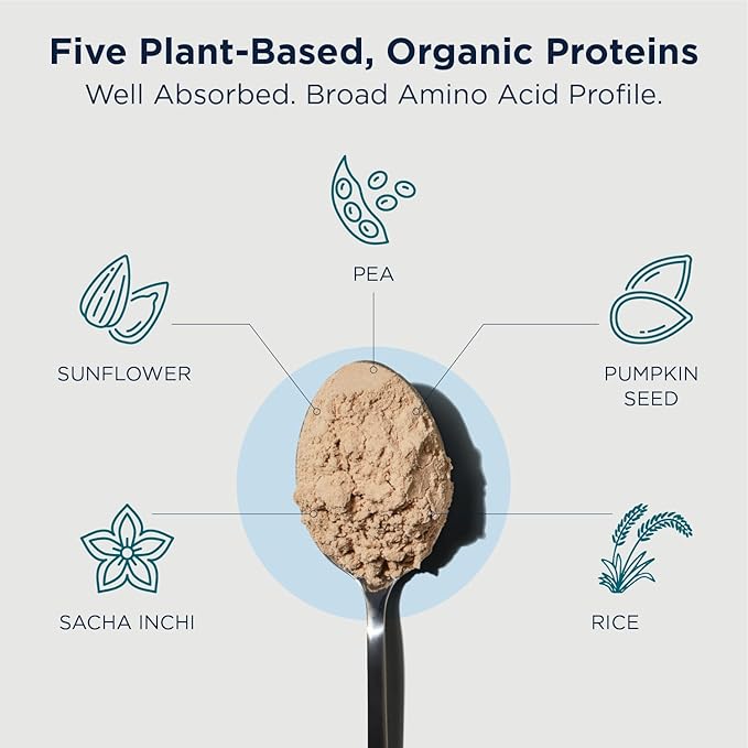Designs for Health Phytotein Vegan Protein Powder - 20g Organic Rice Sacha Inchi Pumpkin Seed Sunflower Seed &amp Pea Protein Powder Blend - Creamy Texture Vanilla Plant Protein (465g)
