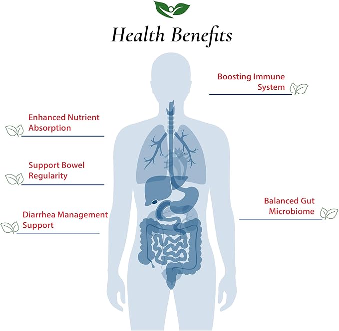 Foods For Gut Bacillus Subtilis Probiotic Powder 200 Billion cfu's | No Additives | Direct from Manufacturer | No Third-Party Storage| Digestive &amp Immune Support | B. Subtilis | 100 Gram (3.52 Oz)