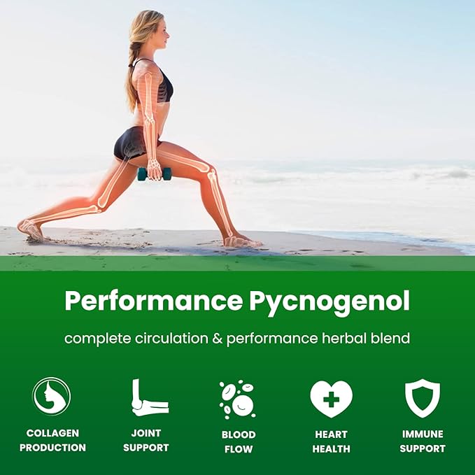 NutraChamps Pycnogenol French Maritime Pine Bark Extract Premium Circulation Complex Blood Flow Nitric Oxide Production Superior Absorption Results with Black Pepper Extract 60 Capsules