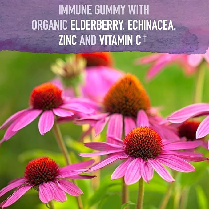 Garden of Life Organics Elderberry Gummies for Adults &amp Kids - Immune Support Supplement with Organic Fruit &amp Organics Men's Gummy Vitamins Multi Berry 120 Count