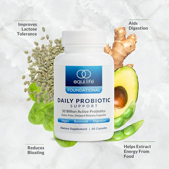 Equilife Daily Probiotic Support 50 Billion CFU 8 Probiotic Strains Digestive and Gut Health Supplement for Men and Women Gluten Free Soy and Dairy Free Non GMO American Made 60 Capsules