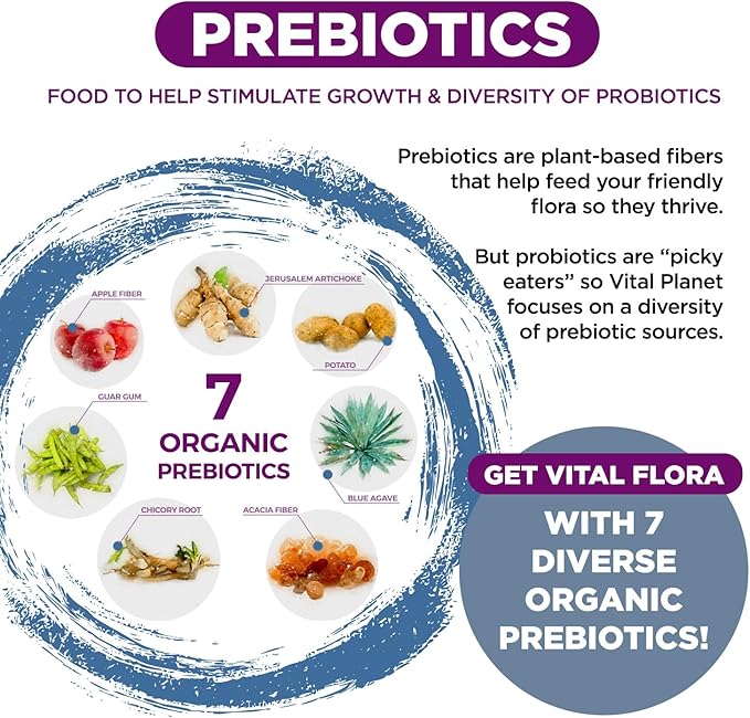 Vital Planet - Vital Flora Probiotics for Women Over 55 Daily Shelf Stable Probiotic 60 Billion CFU 60 Diverse Strains 7 Organic Prebiotics Immune Support and Digestive Health 60 Capsules