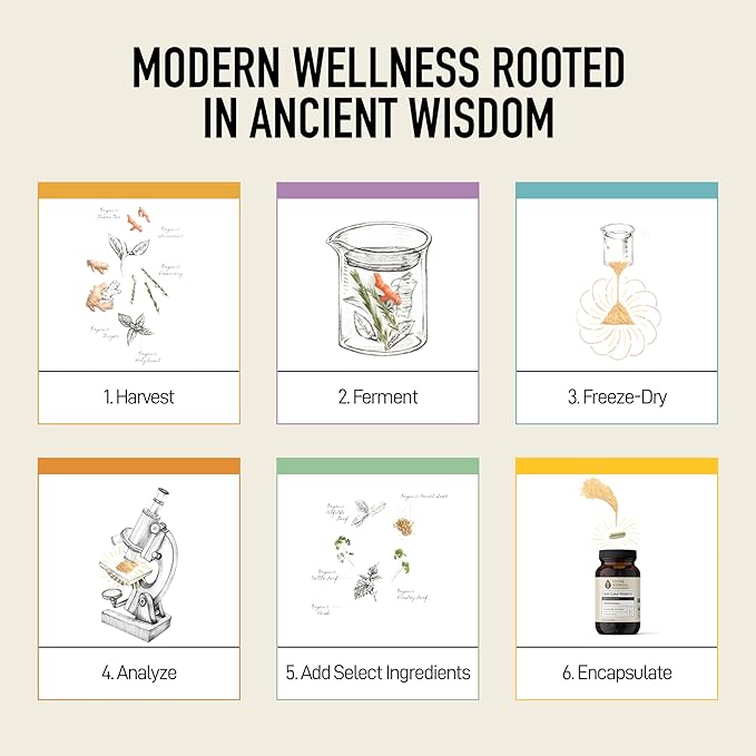 Living Alchemy Gut Health Supplements for Men &amp Women - Your Flora Probiotic Professional Digestion Supplement with Fermented Soybean Prebiotics Digestive Enzyme - Vegan Non-GMO 60 Pcs