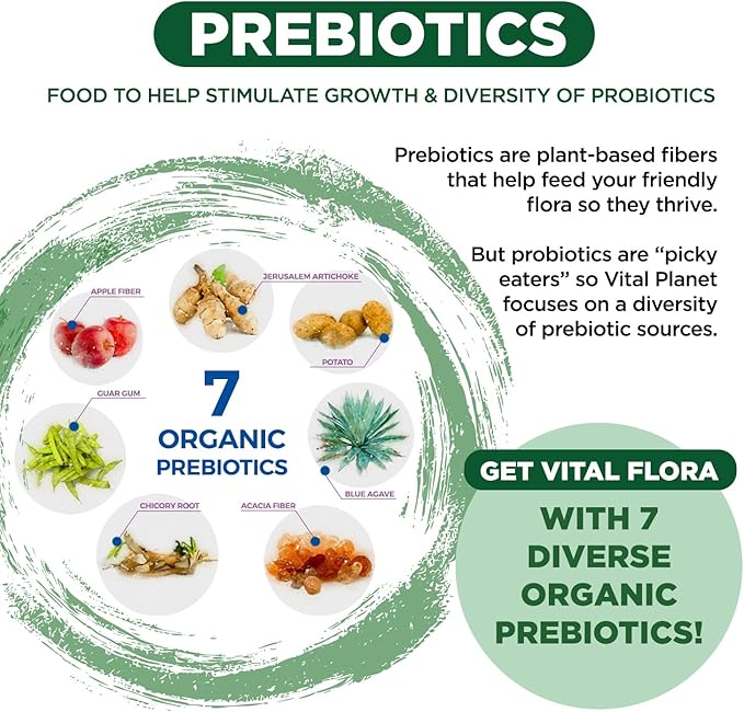 Vital Planet - Vital Flora Adults Over 55 Daily Probiotic 60 Billion CFU Diverse Strains Organic Prebiotics Immune Support Gas Relief Digestive Health Probiotics for Women and Men 60 Capsules