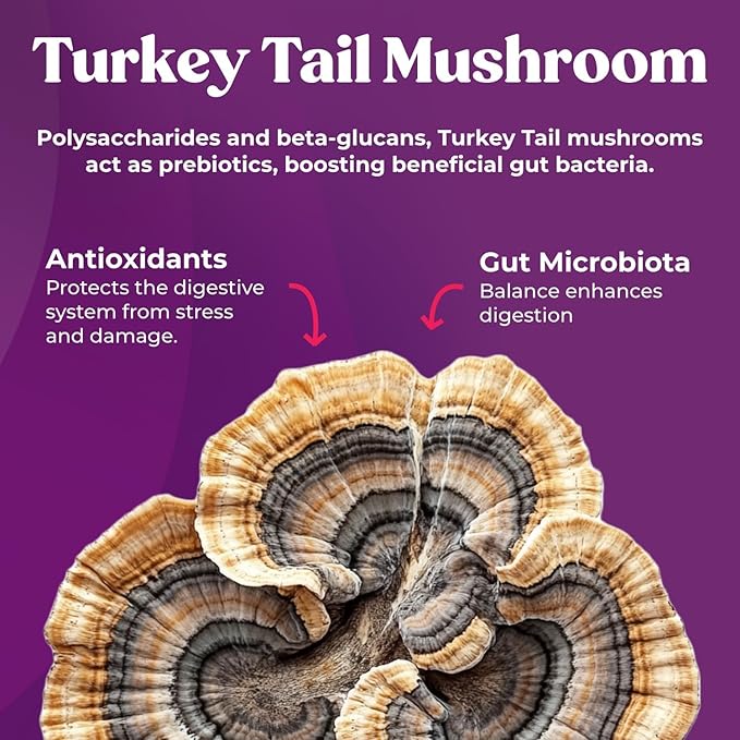 Fungiments Super Prune Kids – Constipation Relief &amp Digestive Support Turkey Tail Mushrooms Prebiotic Fiber Rhubarb Ginger &amp Chamomile – Gut Health Debloating &amp Regularity (30 Gummies