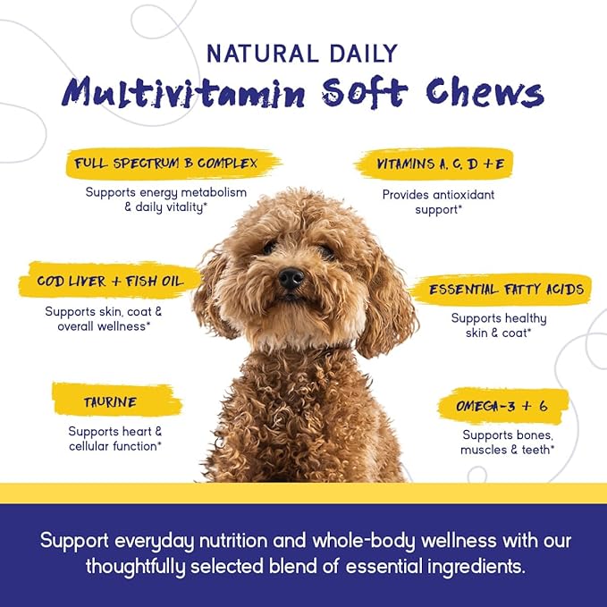 PupGrade Daily Multivitamin for Dogs – All-in-One Supplement with Omega Fish Oil Vitamins A C D E &amp B Complex for Everyday Health – 30 Soft Chews