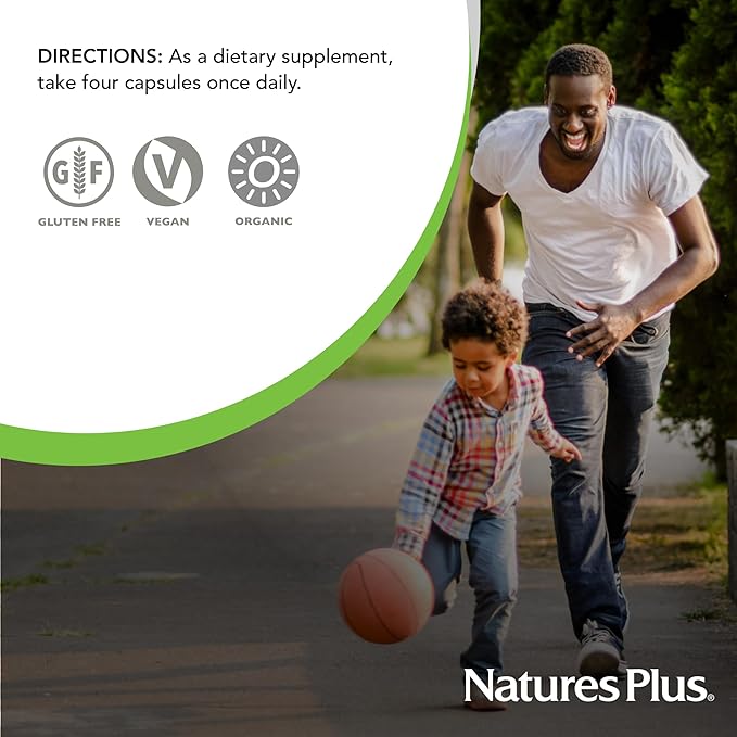 NaturesPlus Source of Life Garden Calcium - 120 Capsules 2 Pack - Calcium Supplement with Magnesium &amp 20 Whole-Food Extracts - USDA Certified Organic Non-GMO Vegan Gluten Free - 60 Total Servi
