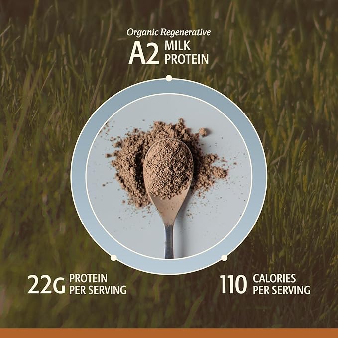 Men’s Whey Protein Powder Chocolate Grass Fed A2 Regenerative Whey with KSM-66 Ashwagandha® &amp Acti Veda™ (22g Protein)