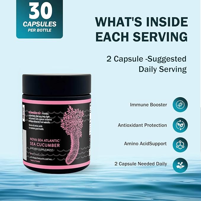 Wild Sea Cucumber Supplement Capsules Antioxidant Healthy Energy Supplement with Fucosylated Chondroitin Sulfate Collagen Glycosides Vitamins Minerals(Pack of 6)