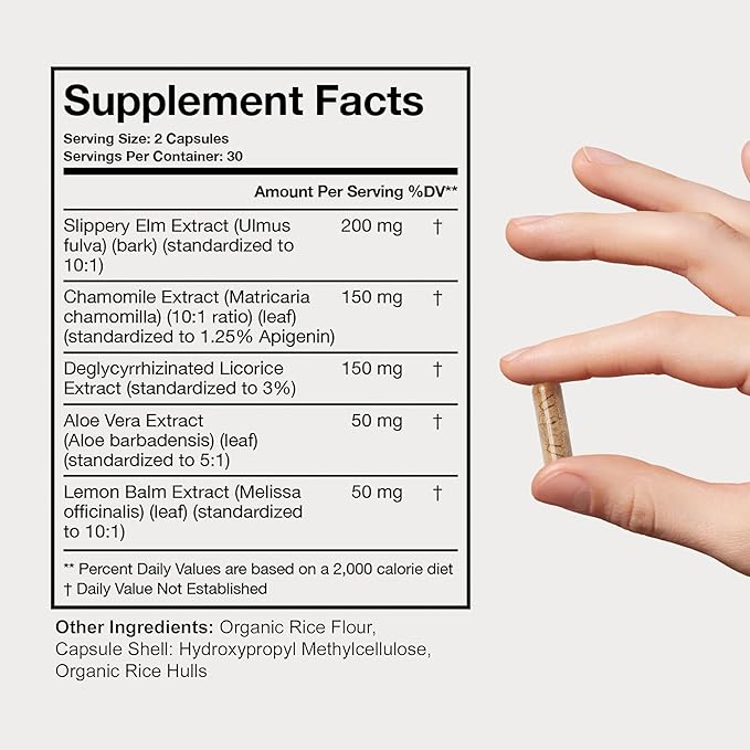 Terra Health Essentials Acid Relief - Plant Based Digestive Support Supplement for Comfortable Gut Function - Lemon Balm Slippery Elm Aloe Vera DGL Licorice - 60 Capsules