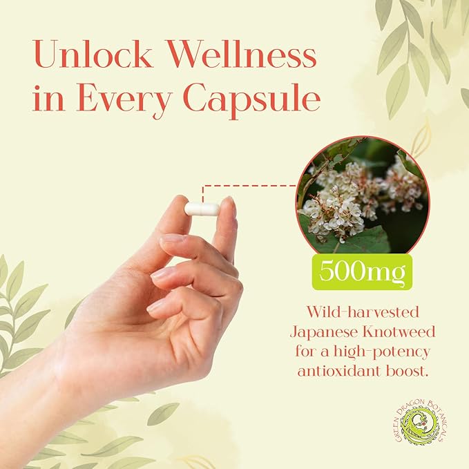 Japanese Knotweed Capsules 500 mg 100 Capsules Made in USA - Natural Source of Resveratrol Immune Support Supplement Non-GMO Gluten-Free Vegetarian Japanese Knotweed Root for Cardiovascular Health.*