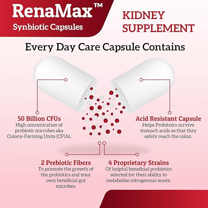 Capsule Kidney Restores &amp Kidney Care Supplement - Probiotic &amp Prebiotic Supplement to Support Normal Kidney Function - 50 Billion CFU per Capsule - Made in U.S.A (180 Caps (2 Pack))