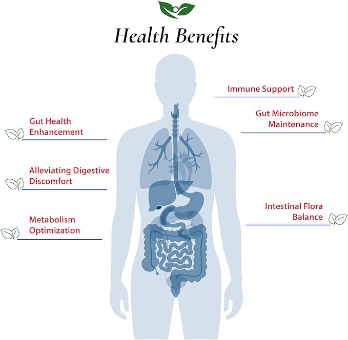 Bifidobacterium Lactis Probiotic Powder 500 Billion cfu's | Made in USA | No Additives | Direct from Manufacturer | No Third-Party Storage | Immune Support | B. Lactis | 60 Grams (2.11 Oz)