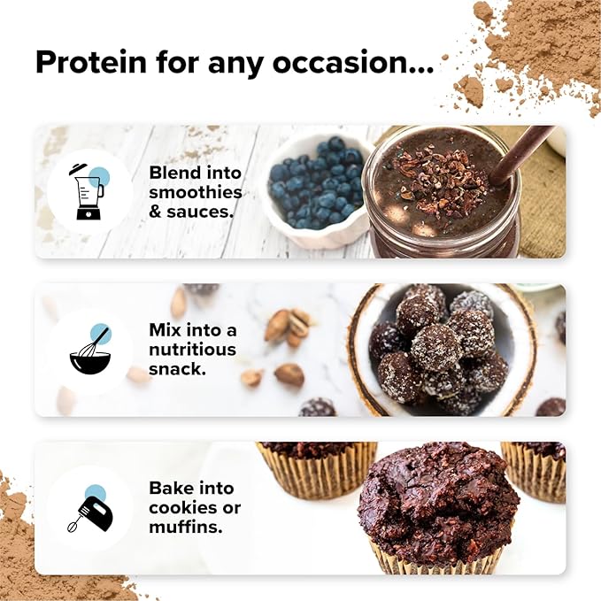 Complement Organic Protein Bundle | Vanilla &amp Chocolate Vegan Protein for Post-Workout Recovery &amp Daily Nutrition