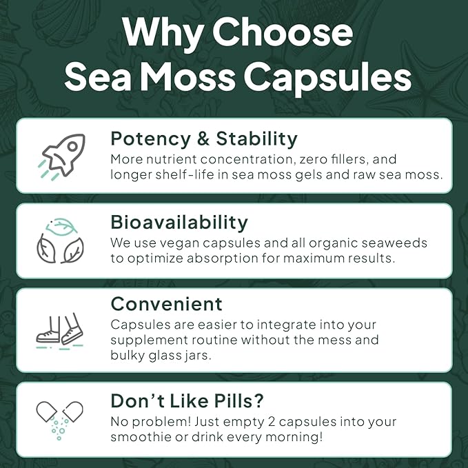 Organics Ocean Wild Sea Moss Capsules - 100% Organic Irish Sea Moss with Organic Chlorella Bladderwrack and Vitamin D for Energy Lung Health and Thyroid Support for Women and Men - 6 Bottles