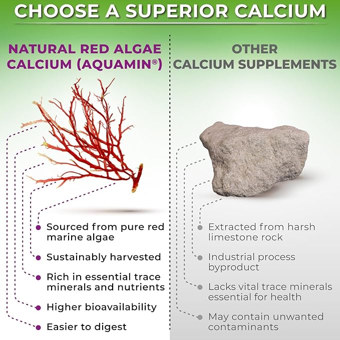 SUPPLEMENTS STUDIO Quercetin with Bromelain Vitamin C &amp Zinc + Plant-Based Calcium Magnesium D3 K2 &amp Turmeric – 100% Vegan Supplement Bundle for Immune &amp Bone Support
