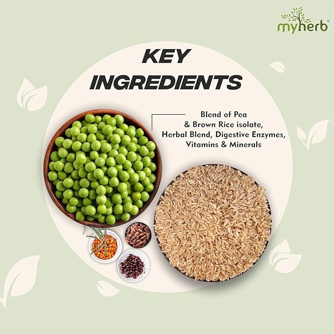 MYHERBS Plant Protein Powder | Pea and Brown Rice Protein Powder | Vegan High Protein Powder | 27 gm Protien21 Vital6 gm BCCAs | Sugar Free | for Men and Women | Chocolate Flavour (1 Kg)