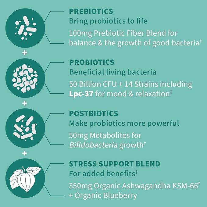 Garden of Life Dr. Formulated PrePost &amp Probiotics Calm 50 Billion CFU Daily 3-in-1 Complete Supplement with Ashwagandha – Mood SupportDigestive &amp Immune Support30 Vegetarian Capsules(Pack