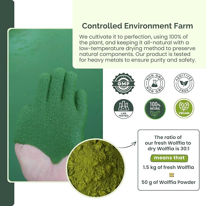 Pure Wolffia Globosa Powder High Protein Plant-Based Superfood Rich in B12 Non-GMO Vegan 1.76 oz
