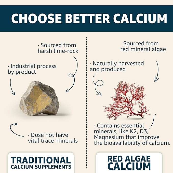 Calcium Gummies 600mg - Calcium Supplement for Women Ocean Algae Calcium | Vitamin D3 K2 Magnesium | for Bone Strength Muscle &amp Immnue | Sustainably Sourced Algae Calcium 70+ Mineral Vegan2