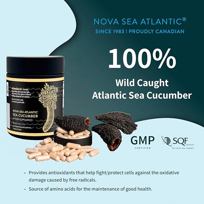 Sea Cucumber Supplement Wild Caught Sea Cucumber Capsules with Fucosylated Chondroitin Vitamins Mineral — Natural Antioxidant Supplement for Elderly Adult Child (Pack of 2)