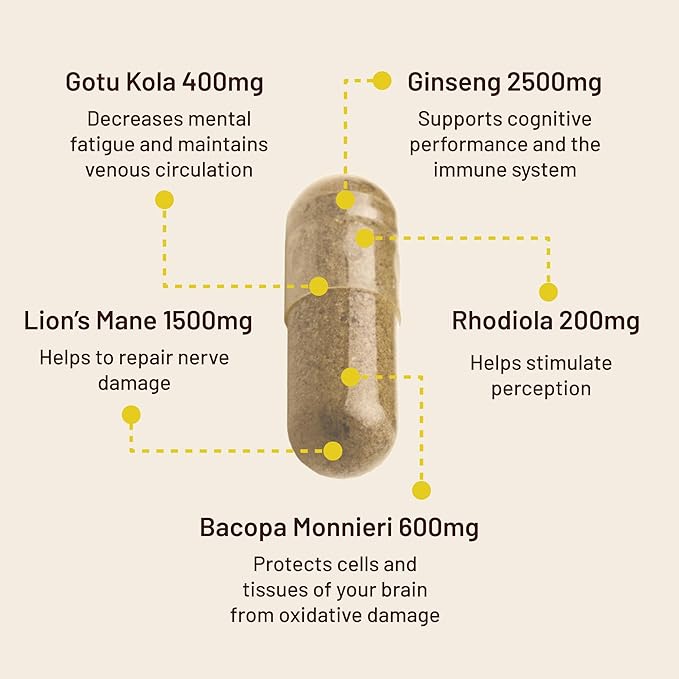 Vegan Vitality Brain &amp Body Balance Bundle: 120 Lions Mane Mushroom Nootropic Brain Support Supplement and 60 Vegan Vitamin D3 + K2 4000IU (100mcg)