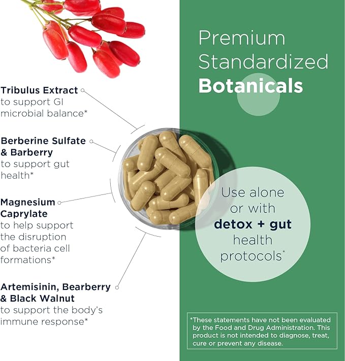 Designs for Health GI Microb-X - Botanical Gut Support Cleanse + Detox Supplement with Tribulus Berberine + Barberry Extract - Vegetarian + Non-GMO (60 Capsules)