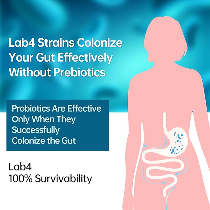 Probiotic for Stomach Gut and Immune Health