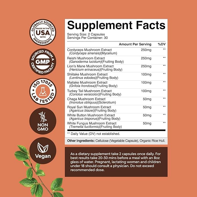 Bundle of Nootropic Memory Supplement with Vitamin B 12 Bacopa Monnieri Rhodiola Rosea DMAE Ginkgo Biloba and Mushroom Complex 10X Lions Mane with Reishi Chaga Maitake Shiitake for Brain Support
