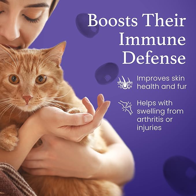 C60 Evo Cat Lover Set 2 Bottles of Pure ESS60 in Extra Virgin Olive Oil 1 for Humans and 1 for Felines Cat Supplements Infused with Natural Salmon Essence Must-Have Pet Supplies and Cat Products